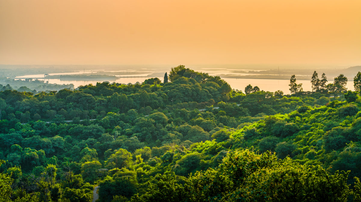 Terravya Agro: Agro & Eco-Tourism