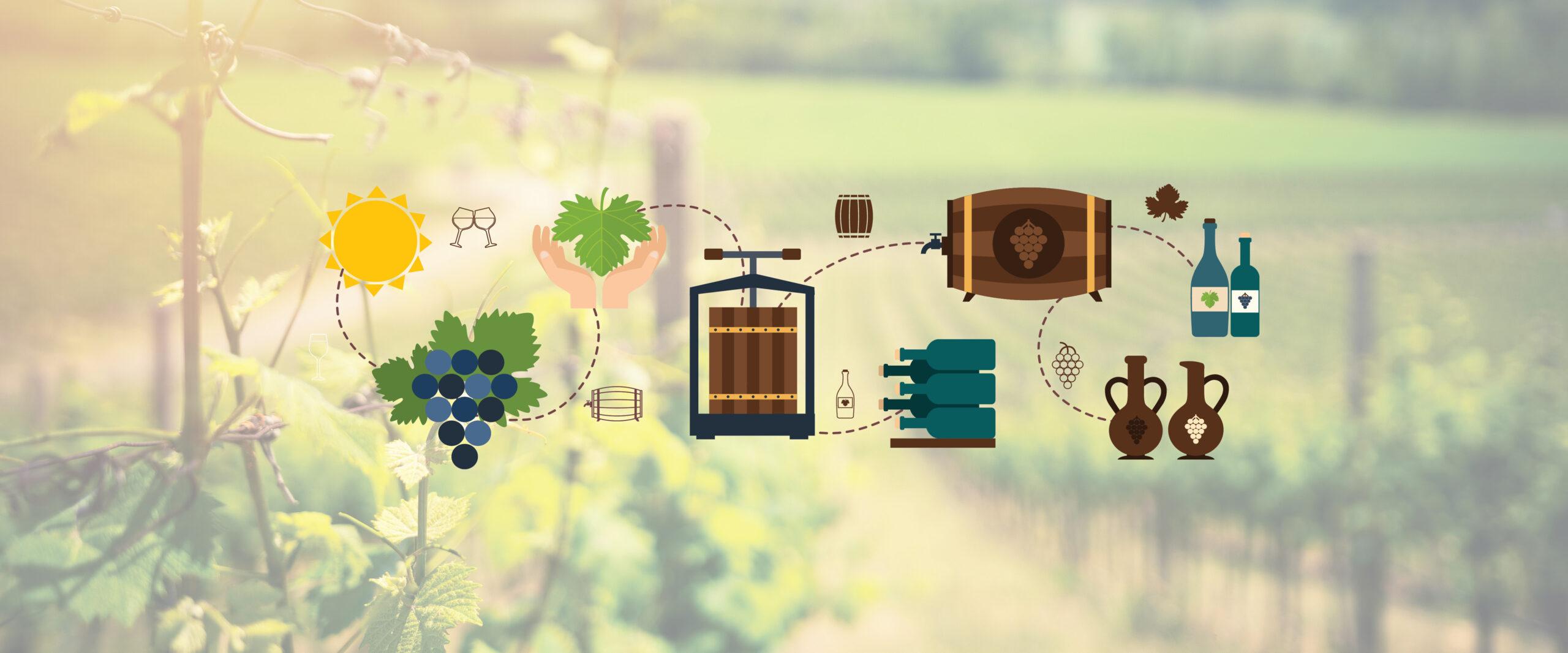 Terravya Agro Food Processing & Fruit Wine Production